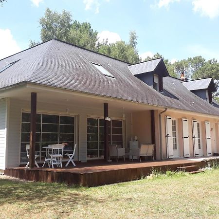 B&B La Foret De Charmeuse Ruaudin Exterior photo